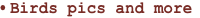shapeimage_3_link_0